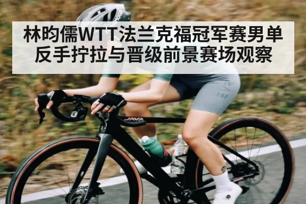 林昀儒WTT法兰克福冠军赛男单反手拧拉与晋级前景赛场观察